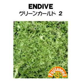 【世界のサラダ野菜】エンダイブ　グリーンカールド2/小袋