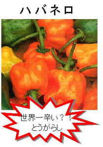 yẺʍ؁znolIW/܁i20j