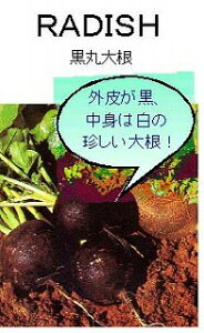 yE̍؁zۑ卪/܁i5mlj