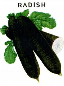 �y���E�̍��؁z�����卪/���܁i5ml�j