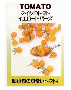 【世界の果菜】マイクロトマト イエロートパーズ/小袋