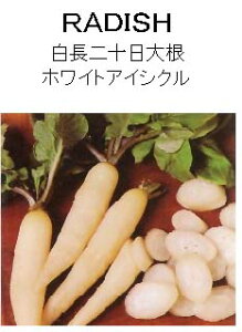 �y���E�̍��؁z������\���卪�z���C�g�A�C�V�N��/����