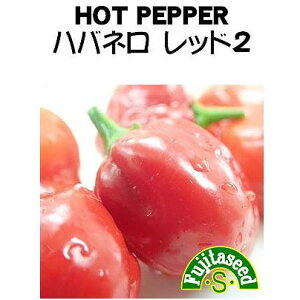 yẺʍ؁znolbh2 / ܁i20j