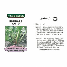 【世界の珍しい野菜】ルバーブ/小袋（3ml）