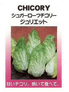 �y���E�̒�������؁zF1�V���K�[���[�t�`�R���[ �W�����G�b�g/����