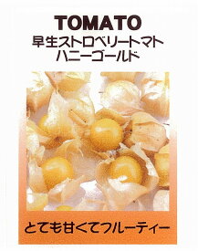 【世界の果菜】早生ストロベリートマト ハニーゴールド（食用ホオズキトマト）[T-31]/小袋（約30粒）