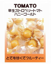 楽天市場 食用ほおずき 種の通販 楽天市場 食用ほおずき 種の通販