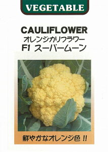 �y���E�̒�������؁z�I�����W�J���t�����[ F1�X�[�p�[���[��/����