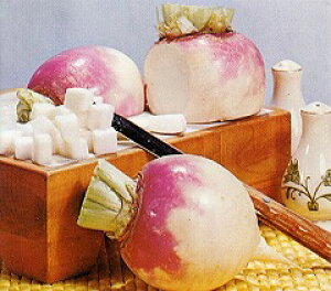 yE̍؁z^[jbvim킩ԁj/܁i3mlj