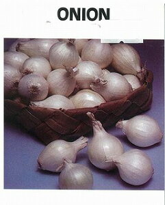 �y���E�̒�������؁z�z���C�g�I�j�I��/���܁i1ml�j