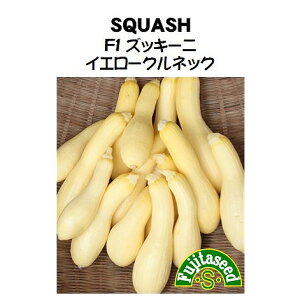 yẺʍ؁zYbL[j@F1@CG[NlbN/(8)