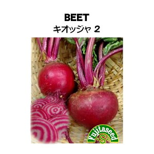 yE̍؁zr[c@LIbW2[R-49]r/܁i2mlj