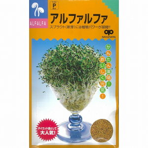 yXvEgz₵n At@t@k̎l/܁i40mlj