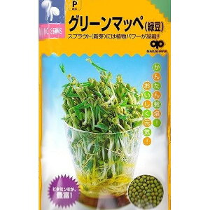 yXvEgz₵n@O[}byiΓjk̎l/܁i40mlj