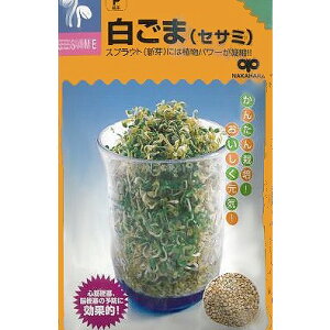 yXvEgz₵n ܁iZT~jk̎l/܁i40mlj