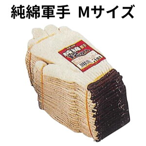 ȌR 12o 1g R I^tN SP-151-M SP151M  MTCY