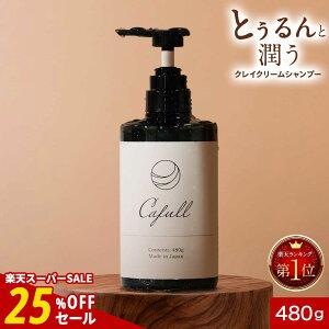 yԌSALEzNCN[Vv[ CLAYRYcafull NC[Jt 480g yt[̍ { NCVv[ PA }bT[W n}bT[W  jIC  DV