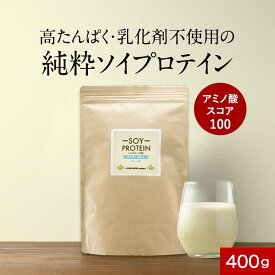 ソイプロテイン プロテイン プレーン味 400g【女性 乳化剤 保存料 無添加 大豆 植物性 初心者 お試し 女性 美容 高たんぱく タンパク質 たんぱく質 アミノ酸スコア100 ボディメイク ダイエット 大豆プロテイン なめらか 送料無料 食品】