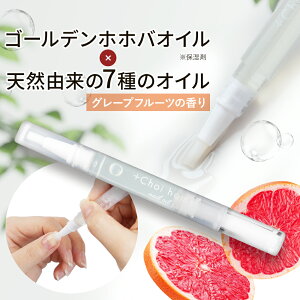 lCIC y^Cv  lC IC csJ +choi home O[vt[c̍ ylC   ێ et  ̒ N[ ΍ y  Z  L[eBNIC 