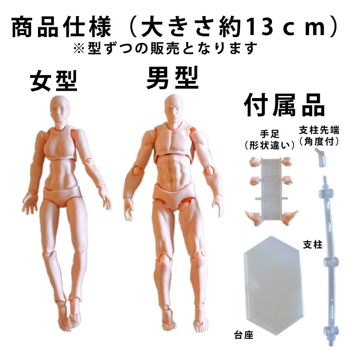 一番の贈り物 デッサンドール男女2体セット 人形 台座つき フィギュア 絵師 イラストモデル デッサンドール 女性 モデル 人形 フィギュア