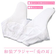 和装ブラジャー「兎の耳」胸元ふっくら　いかり肩　細身体型　振袖　訪問着などに【メール便OK！】