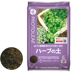 vg[t@n[u̓y@5L@L@|{y@py@pHρ@@ƒ؉@K[fjO@|