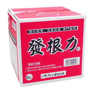 ̔Eی܁@́@10LikCEꔭsj