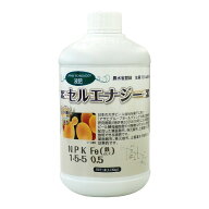 清和肥料　液肥　セルエナジー　1-5-5 Fe0.5　1L　ビール酵母配合　土壌潅注　葉面散布