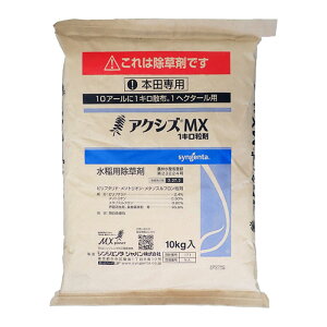 ANVYMX1L܁@10kgiEꔭsj