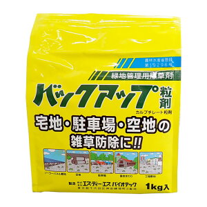 �o�b�N�A�b�v���܁@1kg