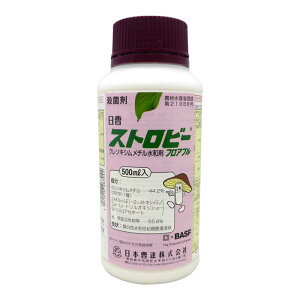 Xgr[tAu@500mlyL2026N10z