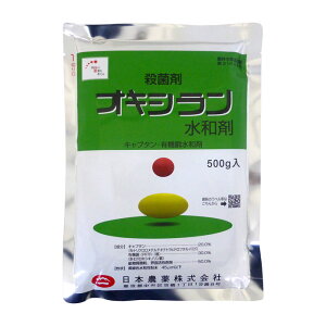 ILVa܁@500gyL2026N10z@1܂ŃlR|X