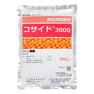 RTCh3000@a܁@500g@1܂ŃlR|X