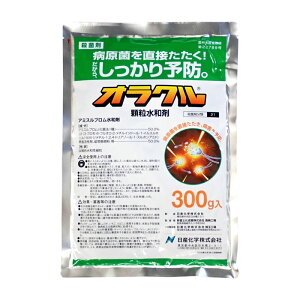 INa܁@300g@1܂ŃlR|X