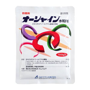 I[VCa܁@100g@4܂ŃlR|X