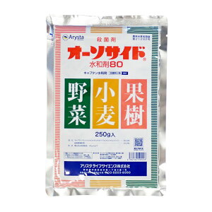 I[\TCha80@250g@2܂ŃlR|X