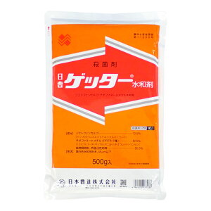 Qb^[a܁@500g@1܂ŃlR|X