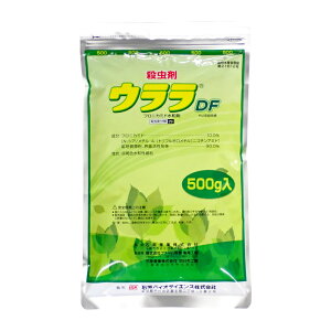 �E����DF�@500g