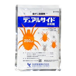 fATCha (E_j)@250g@1܂ŃlR|X