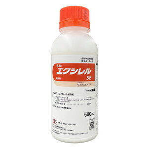 GNVSE@500ml