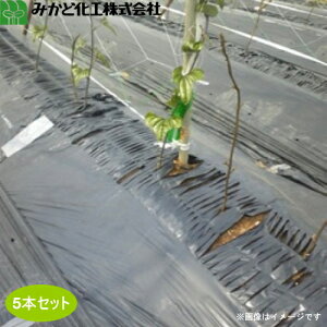 ݂ǉH fV[g@M815B@@80cm×200m@f15cm@5{Zbg@d/_d(V[he[v)/Ud@}`@gl}`ɍœK