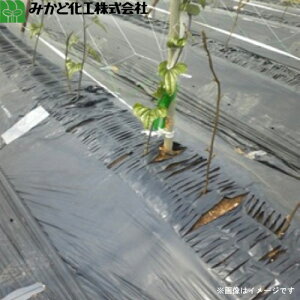 ݂ǉH fV[g@M4110B@@140cm×100m@f110cm@d/_d(V[he[v)/Ud@}`@gl}`ɍœK@iEkCEꔭsj