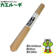 楽天市場】マルチ カエルーチの通販