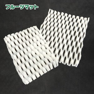 t[c}bg@100@^@2TCYI@ʕ̔AɏՍށ@