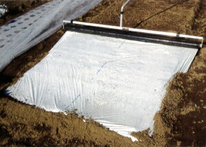 ؎YƁ@}`p[gi[Ch@Ή}`150cm`230cm@~ߗpیN(bL)2gt