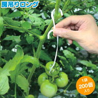 シーム　房吊りロング　200個入　茎折れ・裂け対策フック