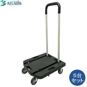 A~X@TCgRpNg@ԁ@ASK-100BK@5Zbg@őύږ100kg@yAzsizyoi[Gg[P5{z