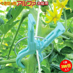 V[@At@F@Rp@AF-BL200@200