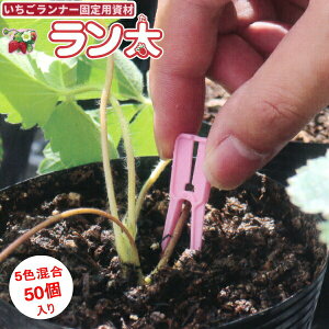 V[@i[Œpށ@@50@5F(    )@䕃i[@4܂ŃlR|X