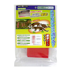 nNrVȂH hV[g@HBH-6@6V[g @1܂ŃlR|X